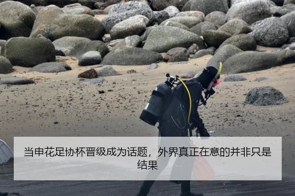当申花足协杯晋级成为话题，外界真正在意的并非只是结果